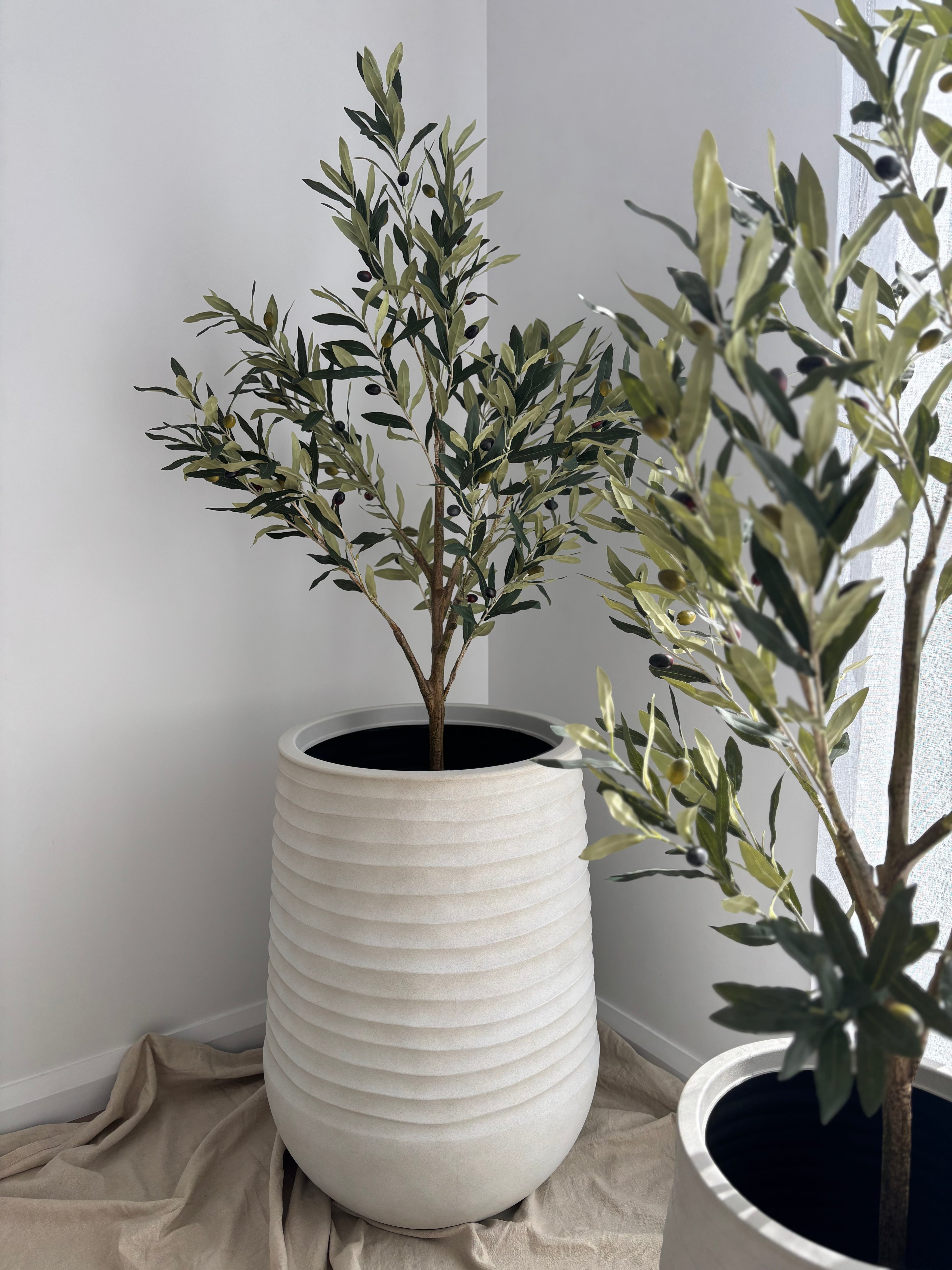 Ripple Planter and Olive Tree Set (Large)