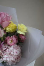 Citrus Blush Serenade