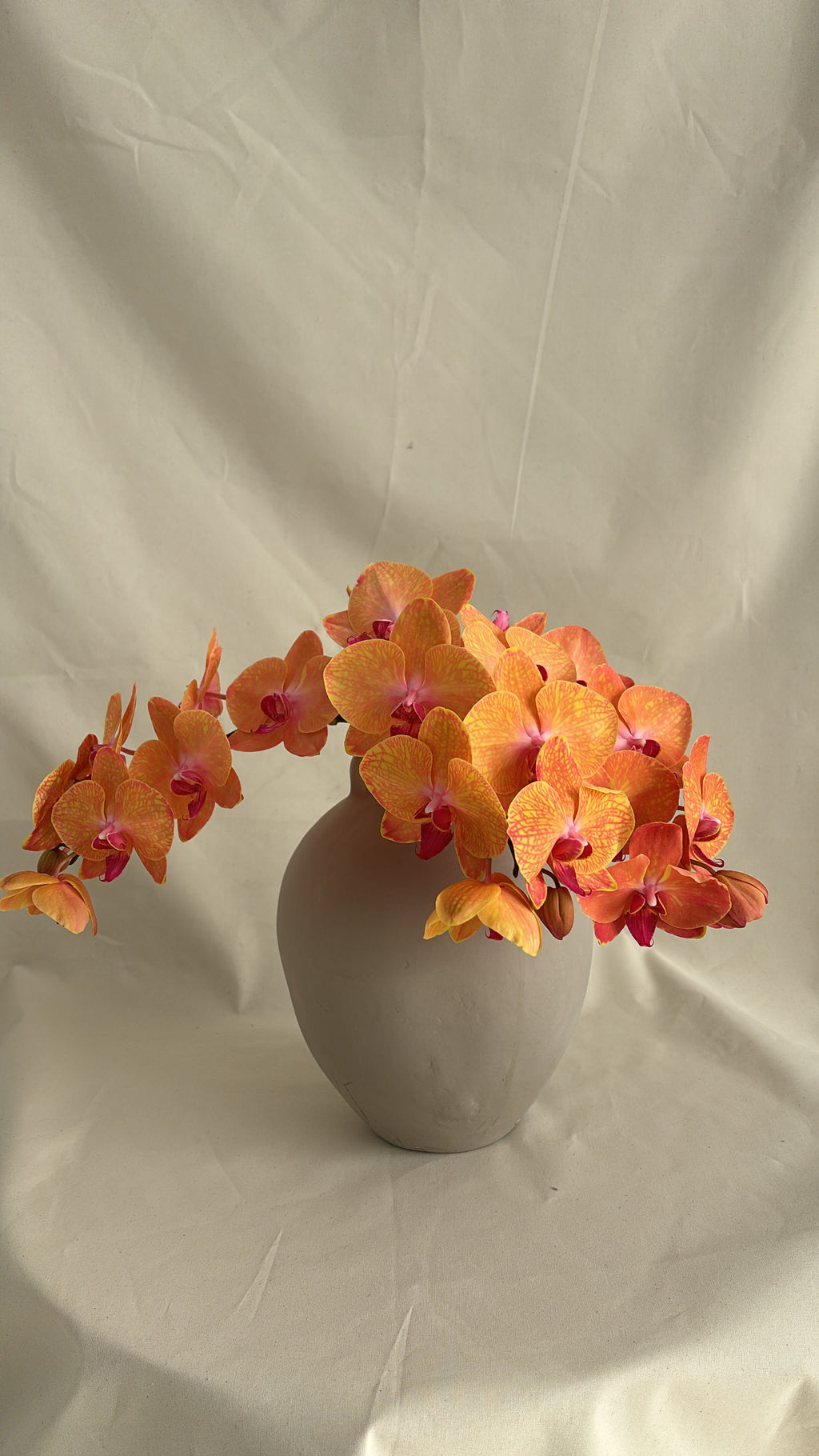 $150 Monthly Orchid Drop