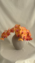 $150 Monthly Orchid Drop