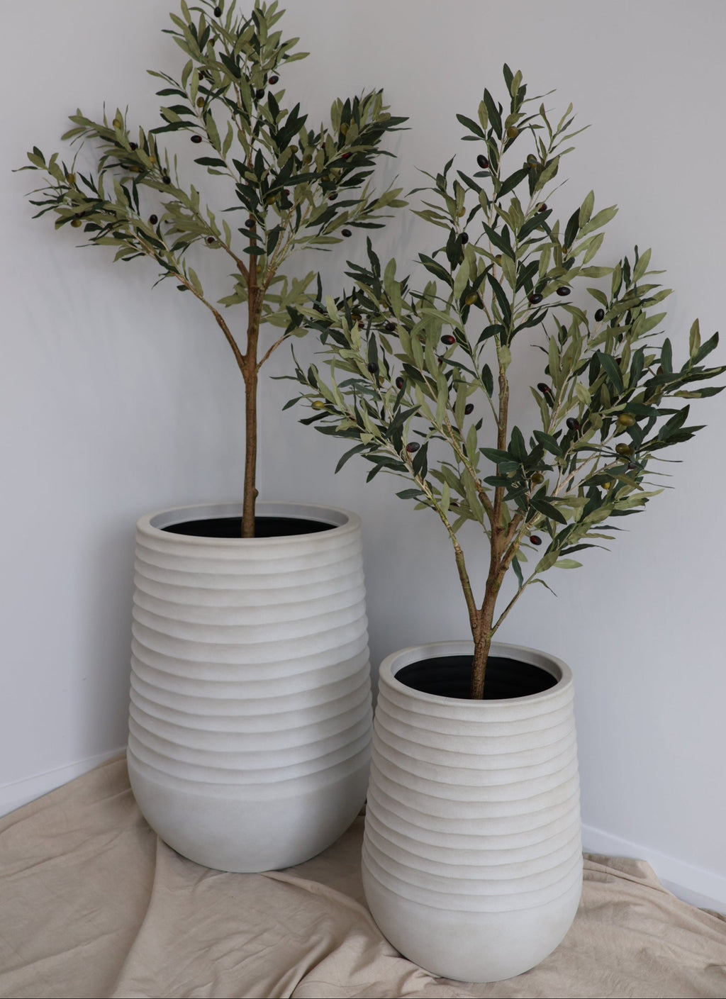 Ripple Planter and Olive Tree Set (Large)
