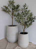 Ripple Planter and Olive Tree Set (Large)