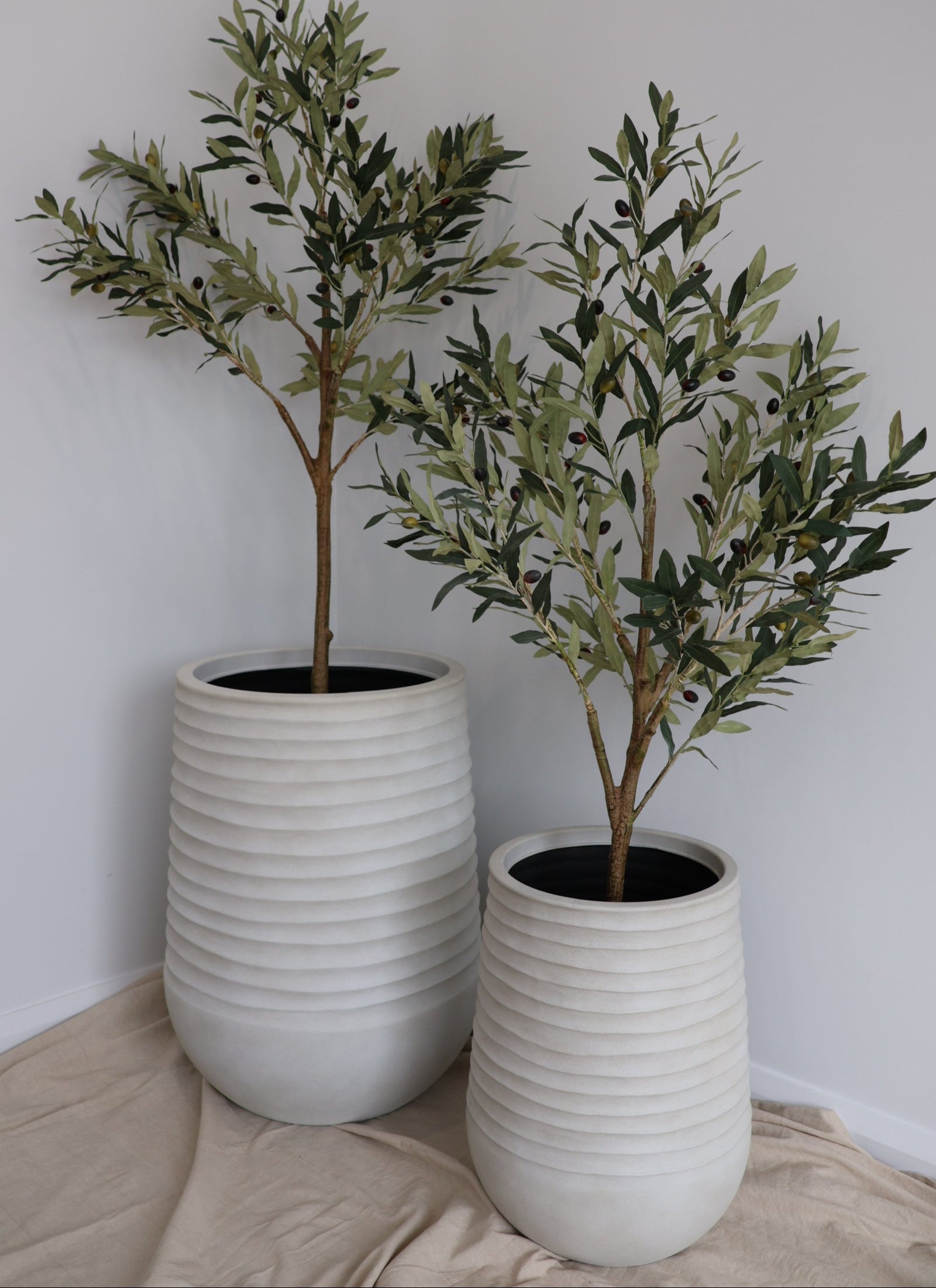 Ripple Planter and Olive Tree Set (Large)