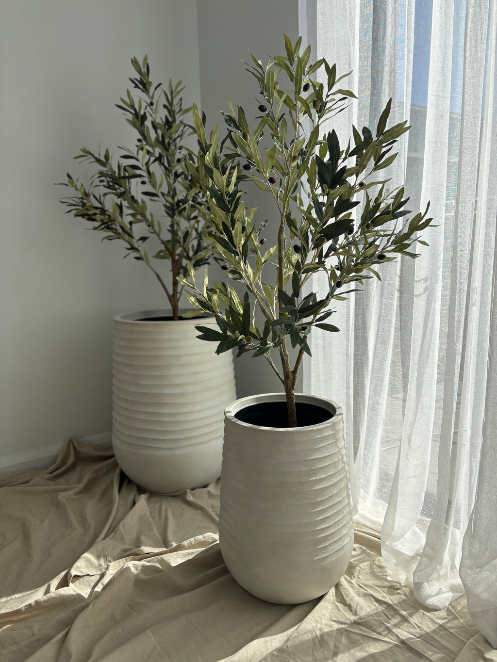 Ripple Planter and Olive Tree Set (Large)