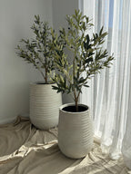 Ripple Planter and Olive Tree Set (Large)