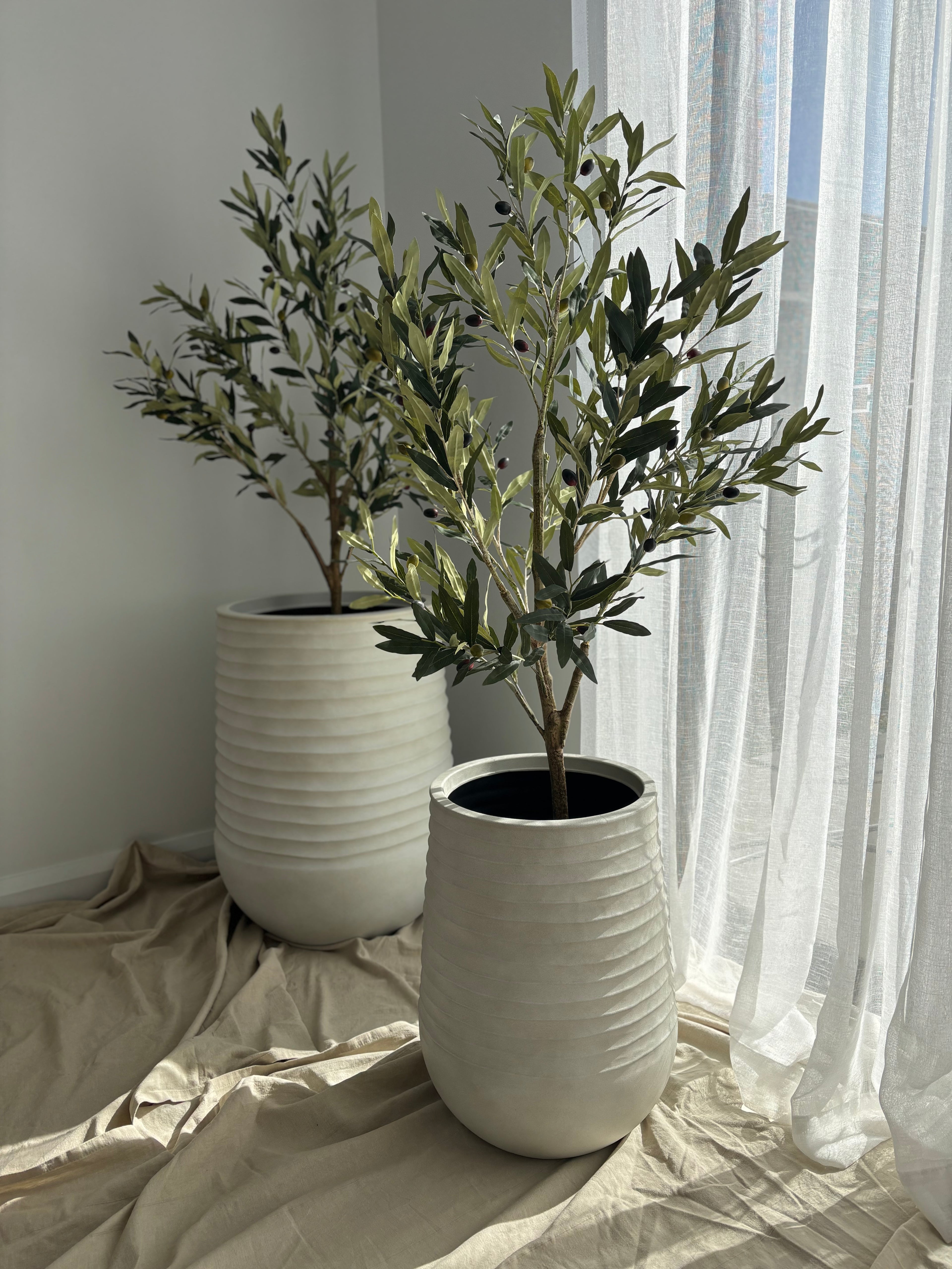 Ripple Planter and Olive Tree Set (Large)
