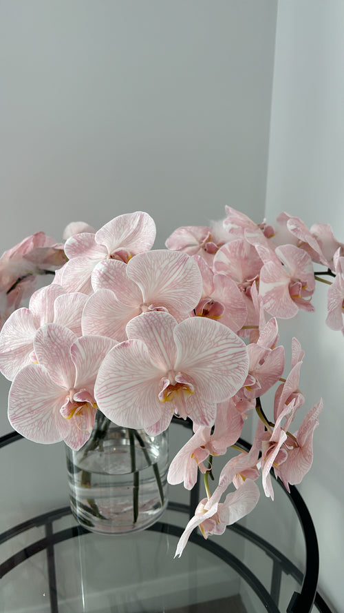 $150 Monthly Orchid Drop