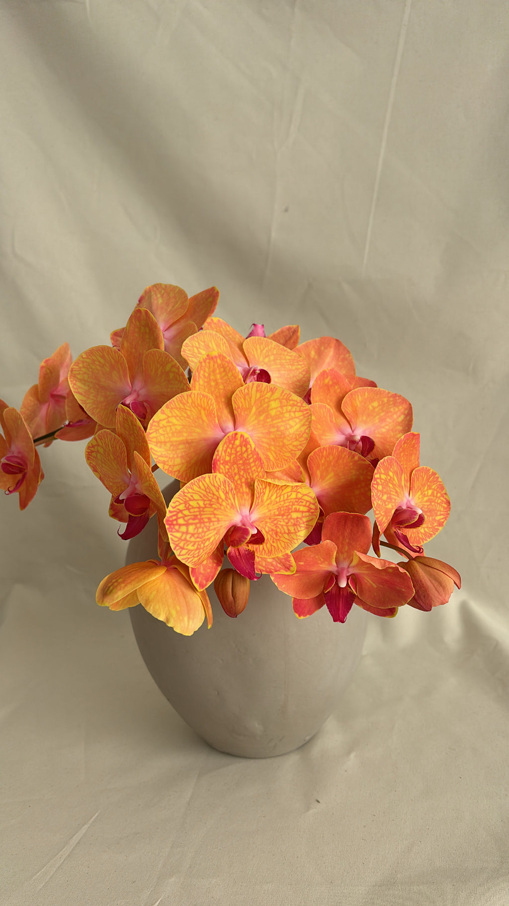 $150 Monthly Orchid Drop