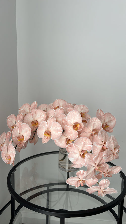$150 Monthly Orchid Drop