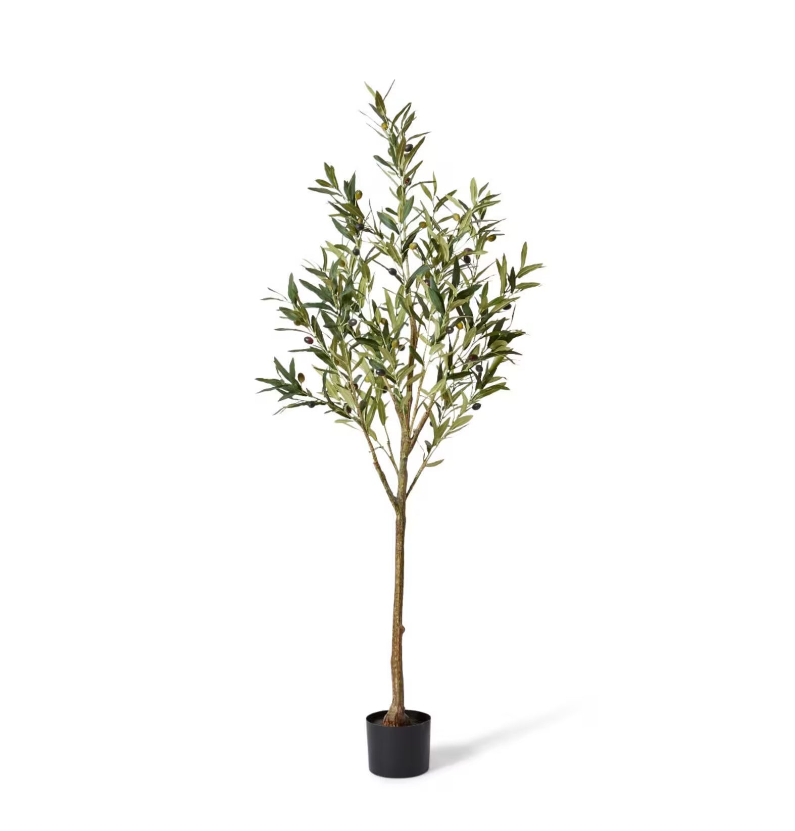 Ripple Planter and Olive Tree Set (Large)